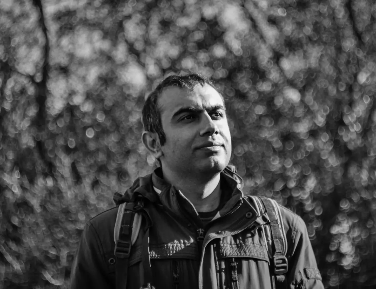 reza gandomikan picture